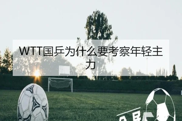 WTT国乒为什么要考察年轻主力