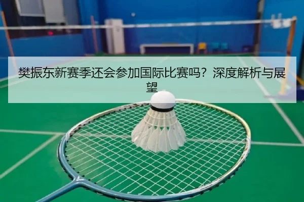 樊振东新赛季还会参加国际比赛吗？深度解析与展望