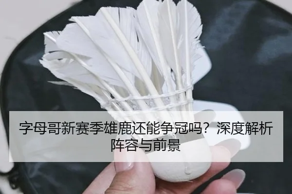 字母哥新赛季雄鹿还能争冠吗？深度解析阵容与前景